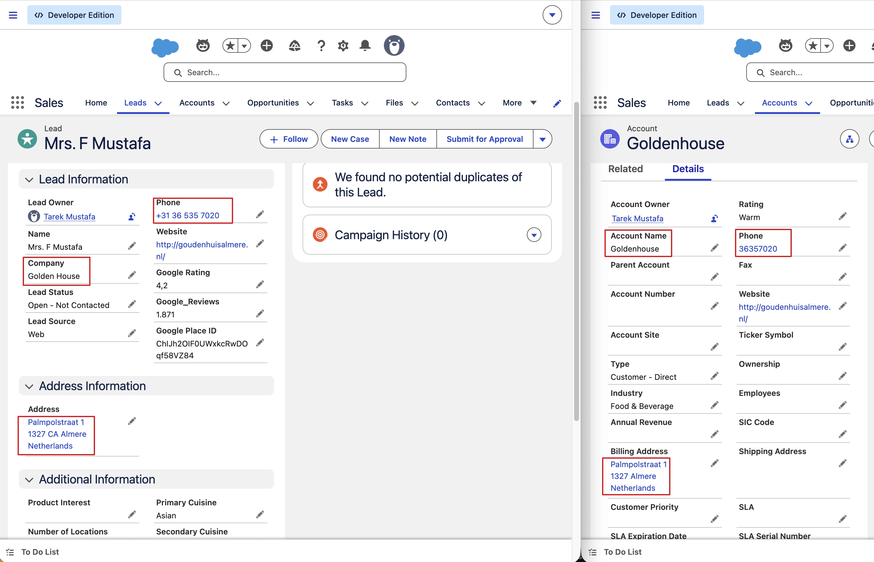 Lead and Account view