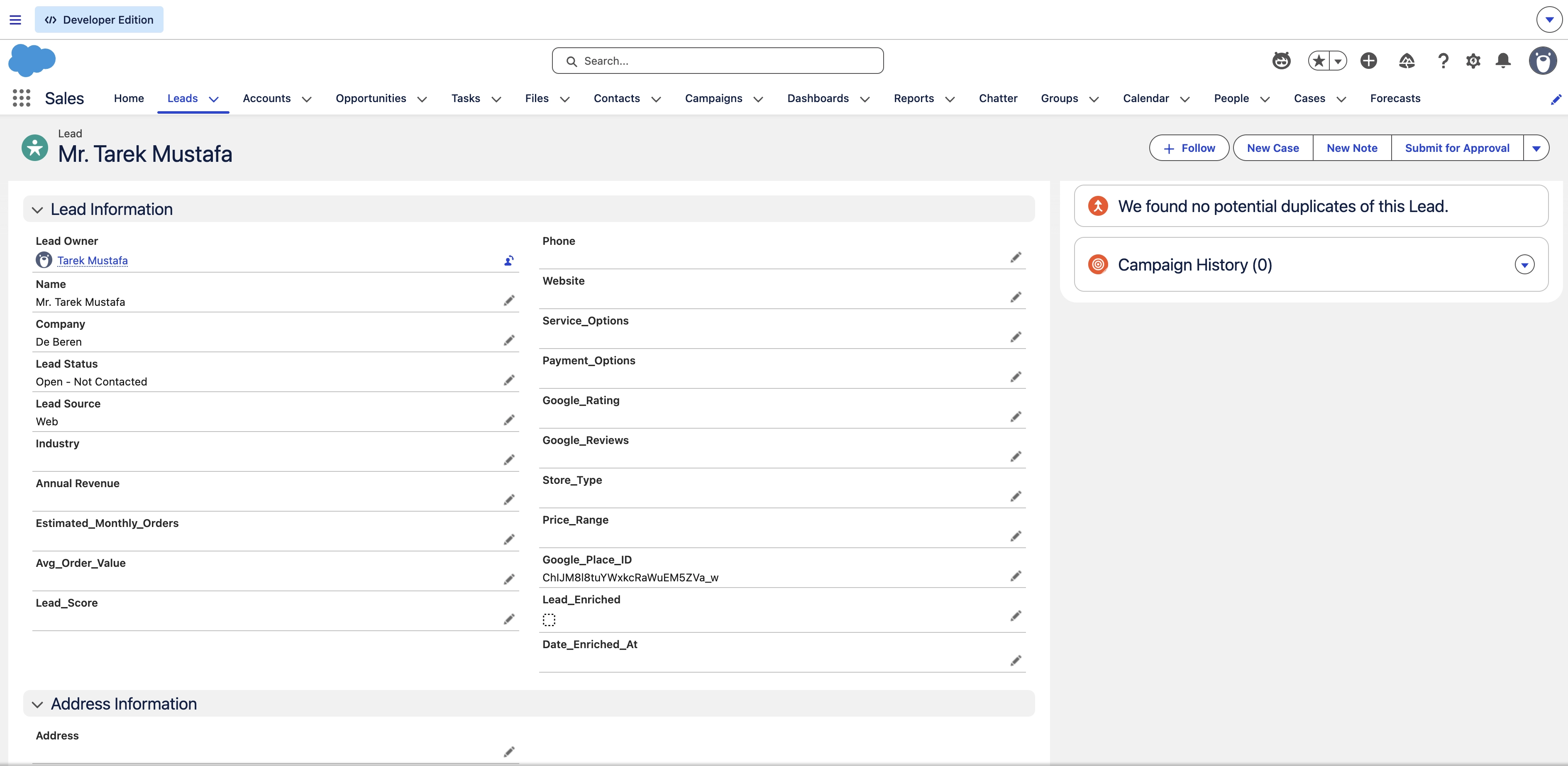 Lead record with custom fields
