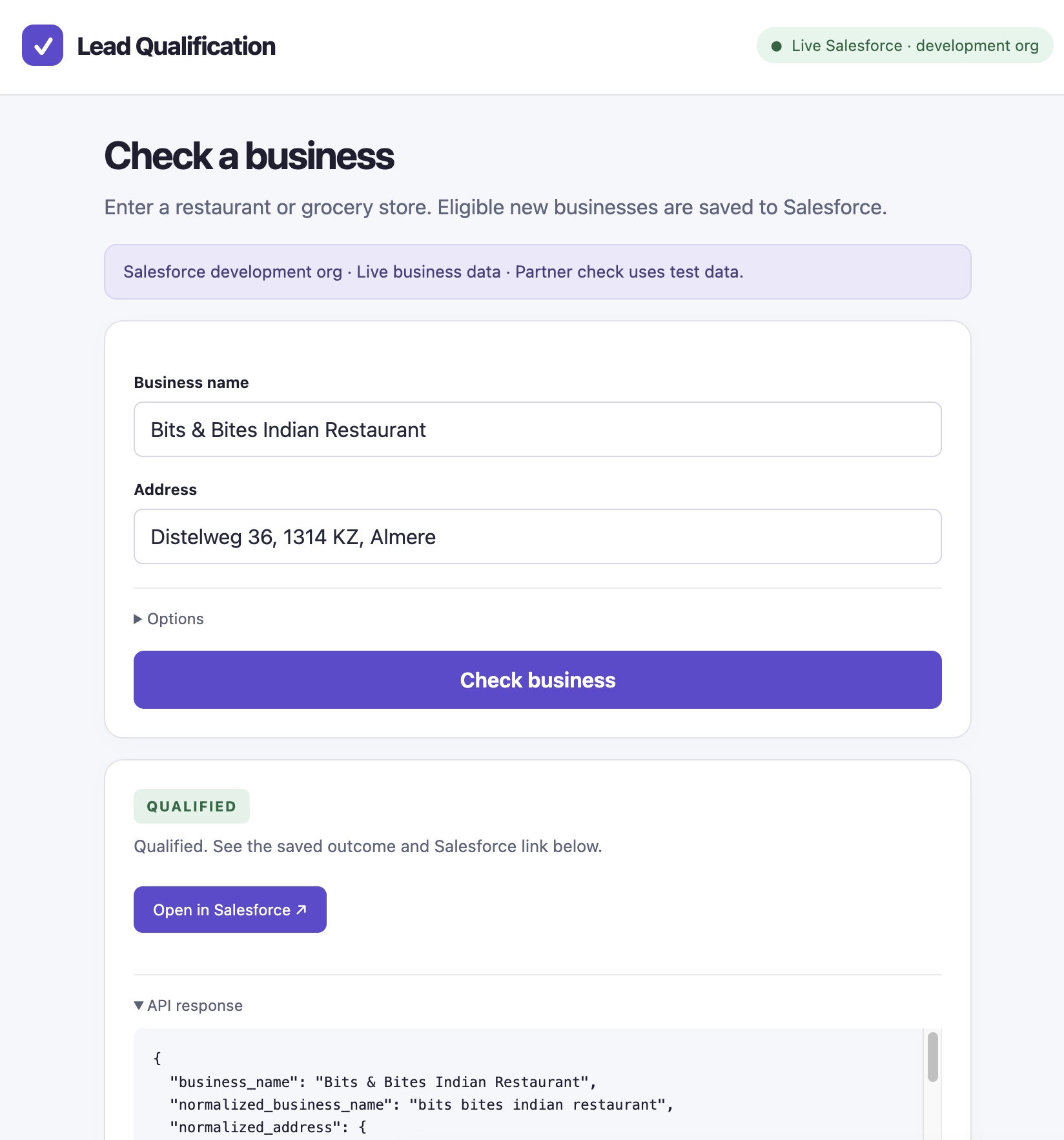 Lead emrichment API Test Interface